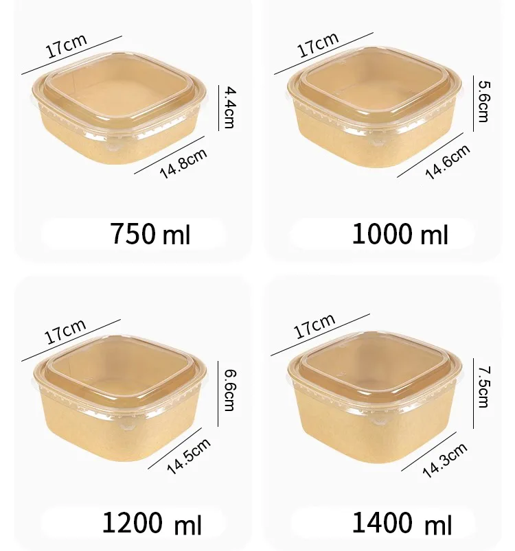Disposable Square Salad Bowls