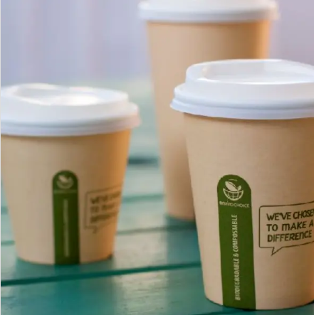 Biodegradable Paper Cups for Cold Drinks for Sustainable Refreshment Packaging